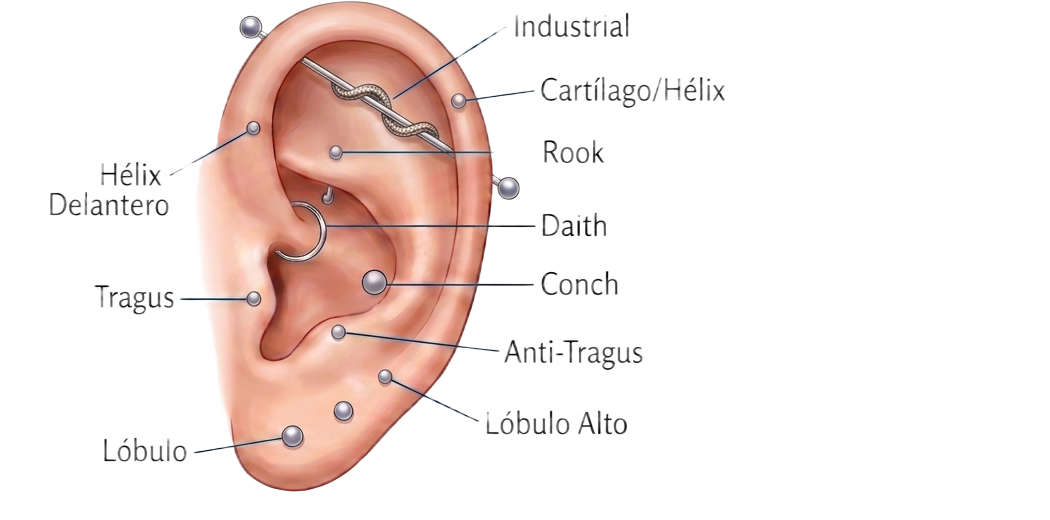 Guía ilustrada con las ubicaciones y nombres de los piercings en la oreja